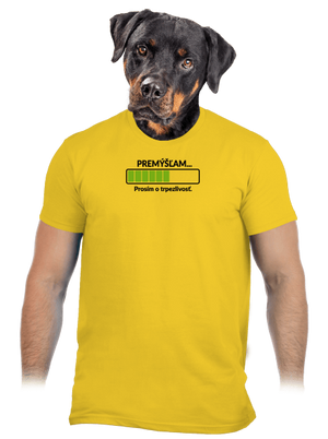 Premýšľam pánske tričko Gold