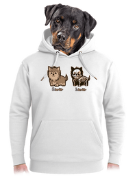 unisex mikina premium