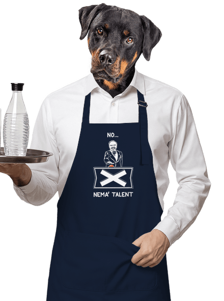 Cimrman: Nemá talent zástera Navy