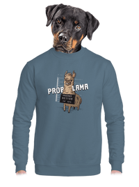 unisex mikina bez kapucne