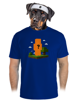 pánske športové tričko