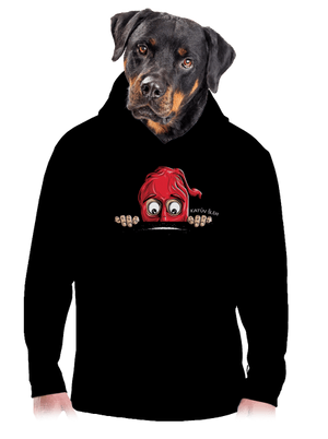 pánska mikina klokanka