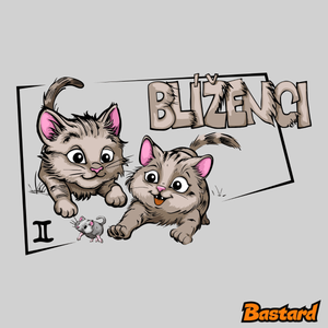 Mačací horoskop: Blíženci