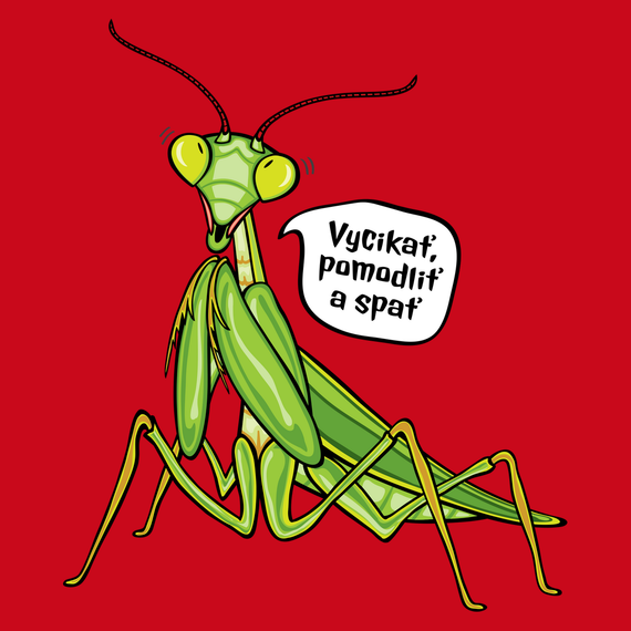 Modlivka zelená