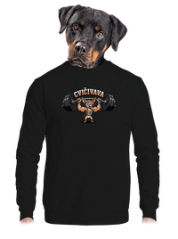 unisex mikina bez kapucne