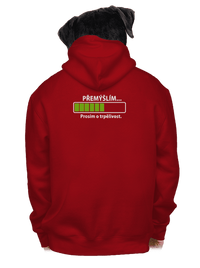 pánska mikina na zips