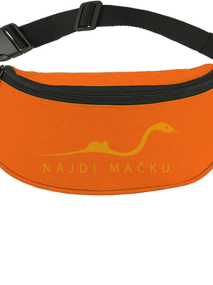 Nájdi mačku ľadvinka Orange