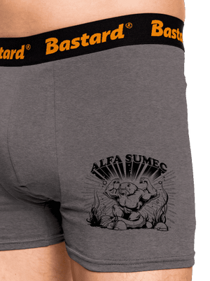 Alfasumec boxerky Gray Melange