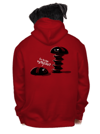 pánska mikina na zips