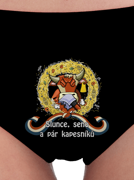 Slunce, seno a pár kapesníků dámske nohavičky Black