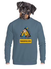 unisex mikina bez kapucne