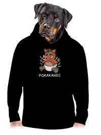 pánska mikina klokanka