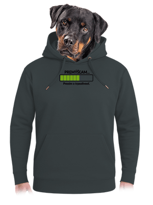 Premýšľam unisex mikina premium Charcoal