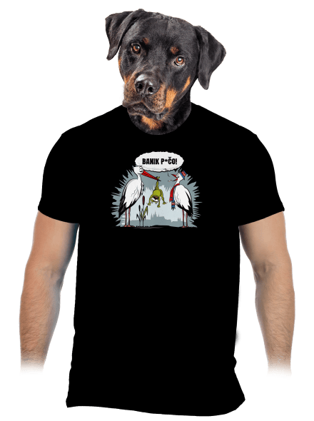 Banik p*čo! pánske tričko Black