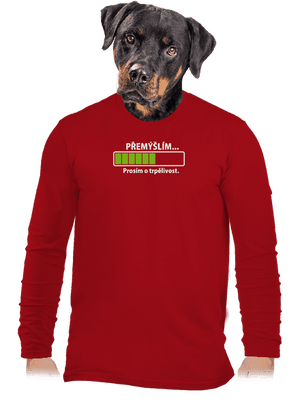 pánske dlhý rukáv