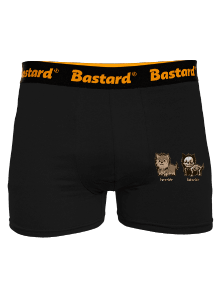 Teriér boxerky Black