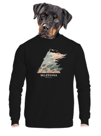 unisex mikina bez kapucne
