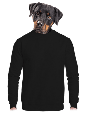 Bez potlače unisex mikina bez kapucne Black