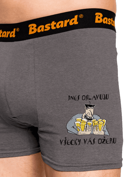 Dnes oslavujem boxerky Gray Melange