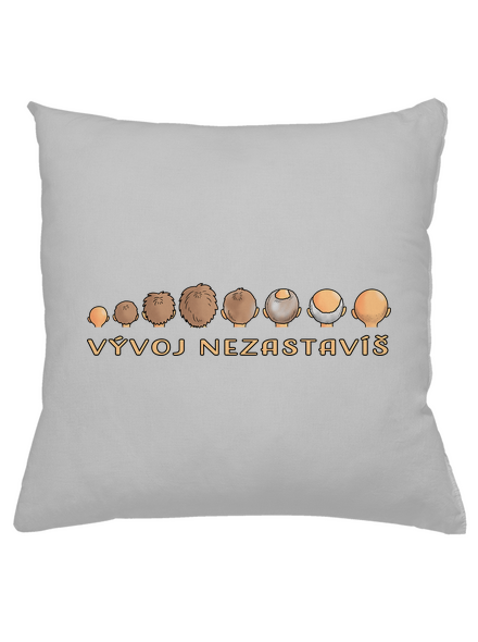 Vývoj nezastavíš vankúš Pacific Grey