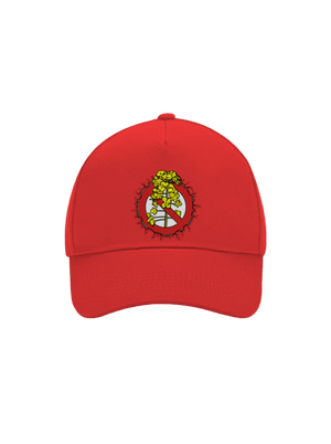 šiltovka baseballka