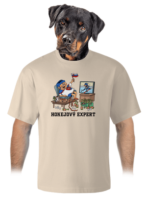 Hokejový expert unisex tričko oversized Almond