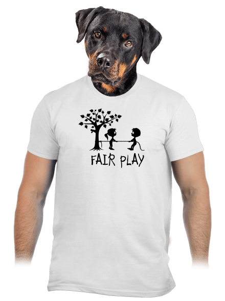 Fair play pánske tričko White