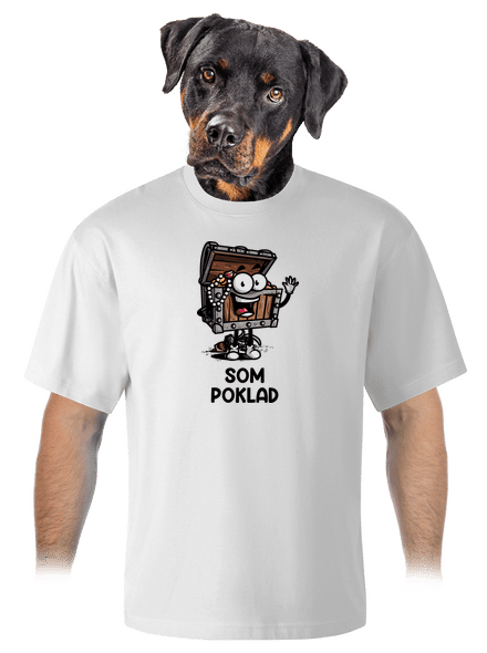 Som poklad unisex tričko oversized White