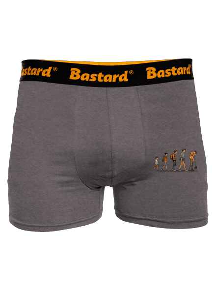 Evolúcia študenta boxerky Gray Melange