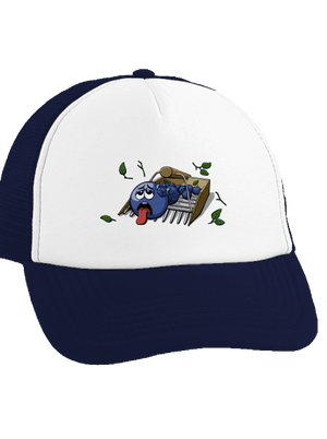 Čučoriedky šiltovka truckerka French Navy cap
