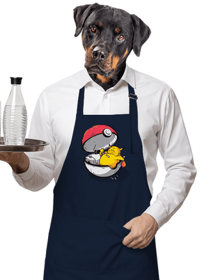 Koniec pokémona zástera Navy