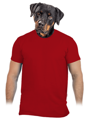 Bez potlače pánske tričko Red