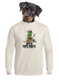 unisex mikina bez kapucne