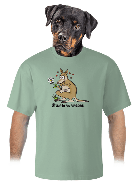 Šťastie vo vrecku unisex tričko oversized Sage