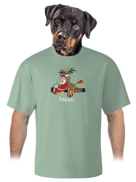 Tichá noc unisex tričko oversized Sage