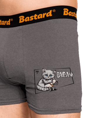 Mačací horoskop: Baran boxerky Gray Melange