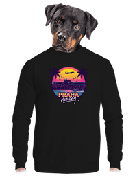unisex mikina bez kapucne