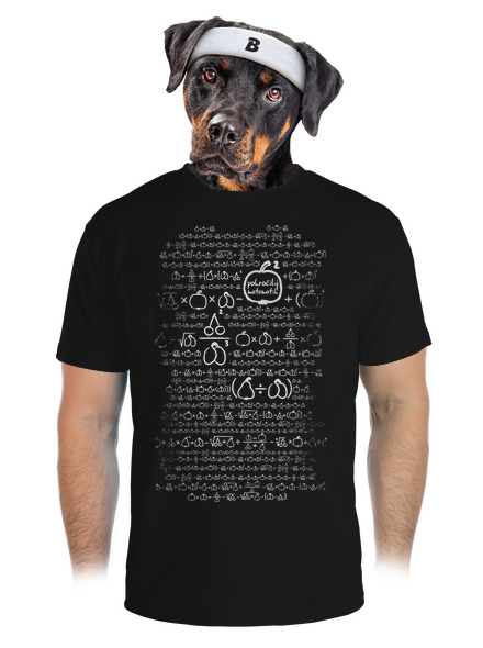 Matematik pánske športové tričko Black