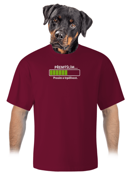 Premýšľam unisex tričko oversized Garnet