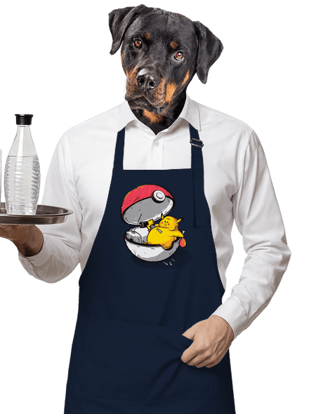 Koniec pokémona zástera Navy