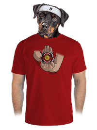 pánske športové tričko