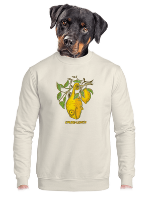 Citrón unisex mikina bez kapucne Off White