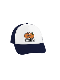 šiltovka truckerka