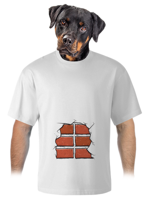 unisex tričko oversized