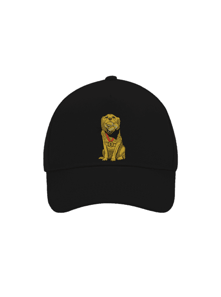Zlatý retriever šiltovka baseballka Black