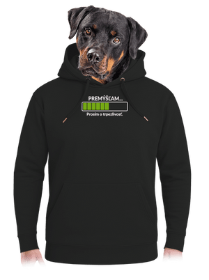 Premýšľam unisex mikina premium Dark Black