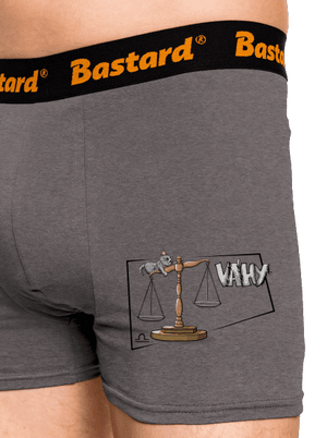 Mačací horoskop: Váhy boxerky Gray Melange