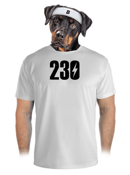 230 V pánske športové tričko White