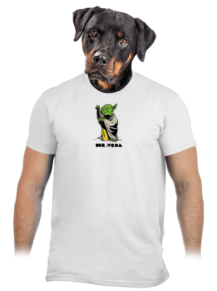Mr. Voda pánske tričko White