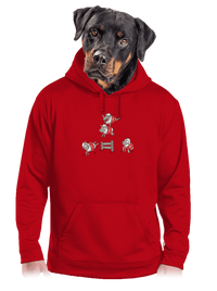 pánska mikina klokanka